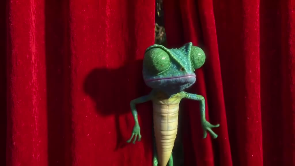 A chameleon changes colors rapidly while trying to blend into a red velvet curtain, looki…