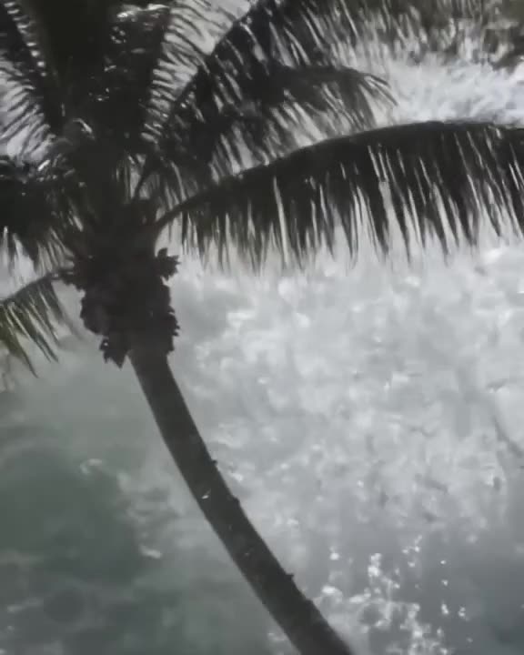 A lone palm tree bends dramatically in slow motion as a massive wave crashes nearby, but …
