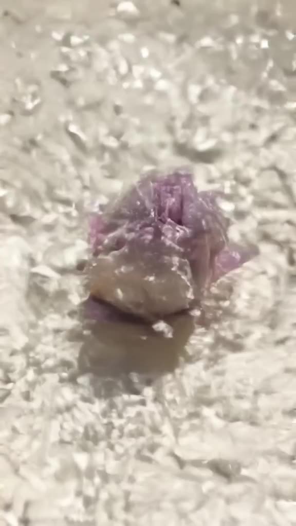 A crumpled sketch of a flower on paper instantly blooms into a hyper-realistic, dew-cover…