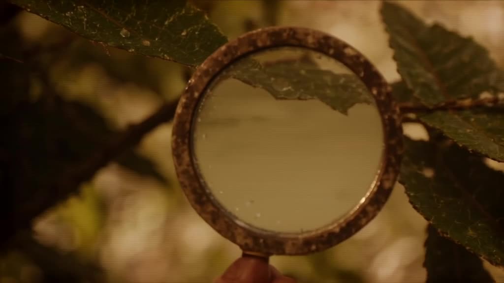 An old, dusty detective’s magnifying glass focuses on a raindrop hitting a leaf. The drop…