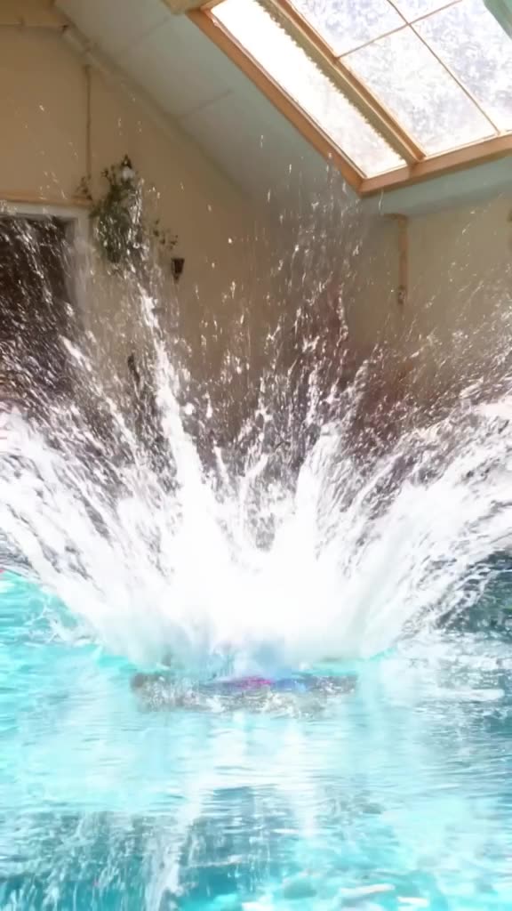 A koala in a swim cap dives into a crystal-clear indoor pool. The water splashes up in a …