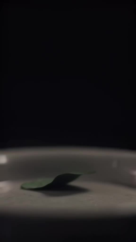 A single rose petal floats down onto a dark surface. As it touches, the surface explodes …
