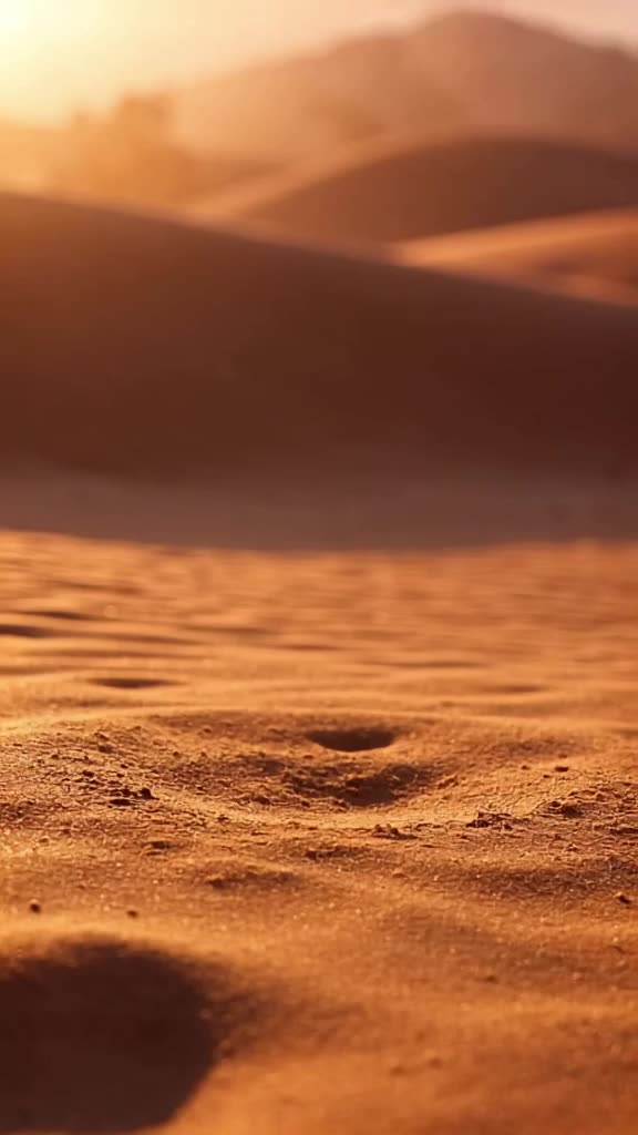 Desert dunes ripple in warm orange light. A giant camel hoof steps down, leaving a perfec…
