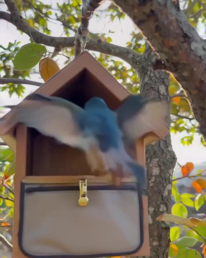 A tiny birdhouse shaped like a miniature luxury bag hangs from a tree. A bluebird lands o…