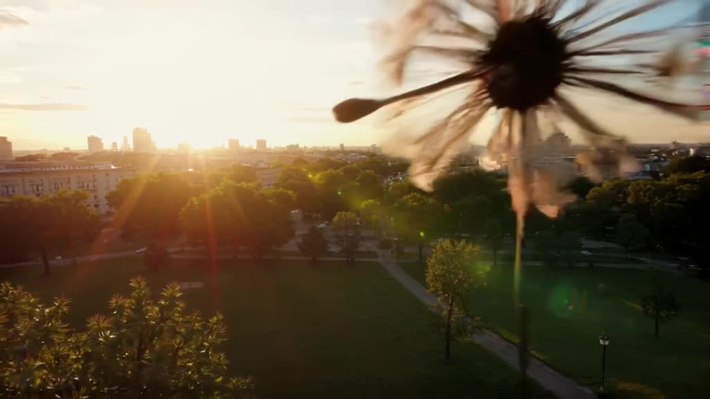 Drone view of a city park. A drone itself lands, unfolding its arms into a blooming dande…