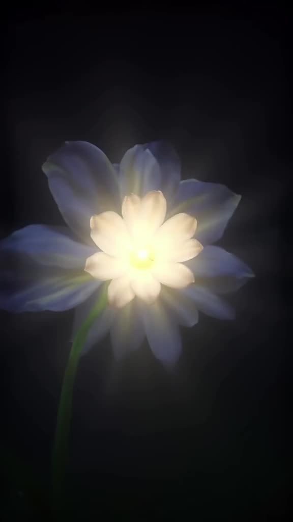 A firefly emerges from a blooming white flower, glowing intensely. Dark background with r…
