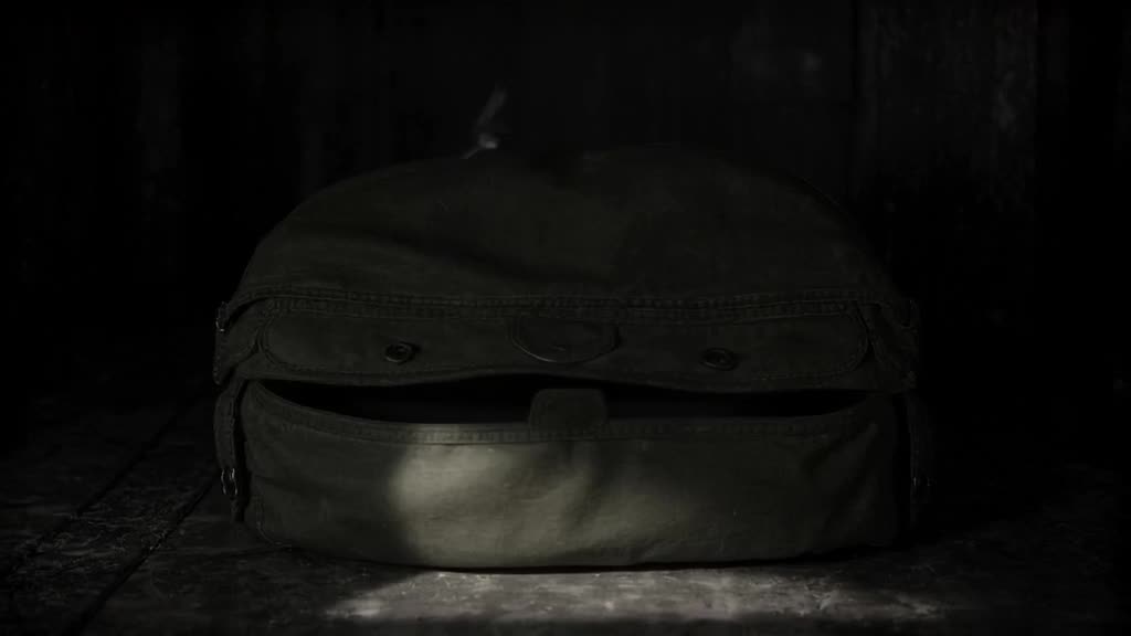 A vintage green canvas backpack sits in a dark room. A single ray of moonlight illuminate…