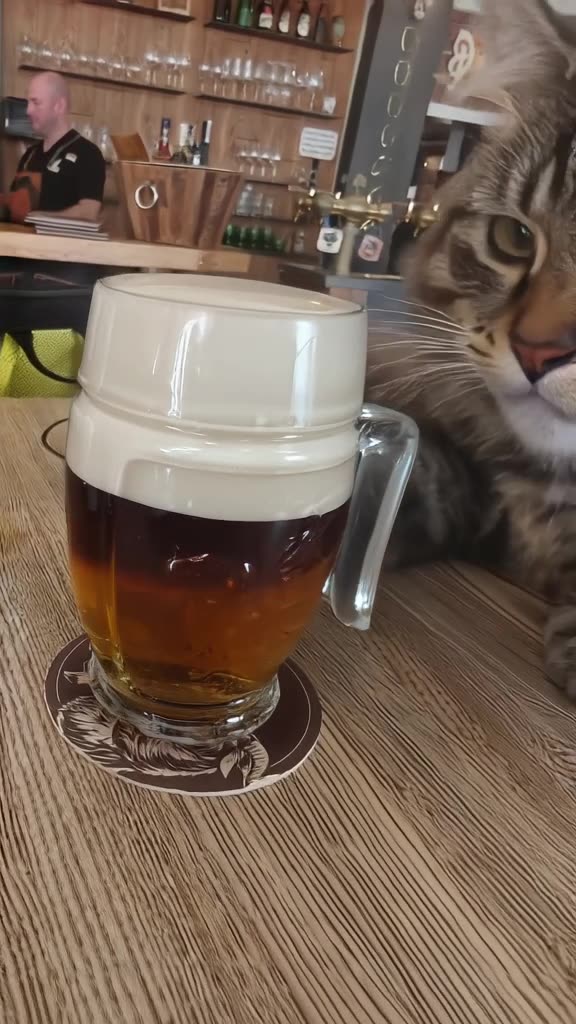 A fluffy tabby cat holds a frothy glass of golden beer with both paws, taking a dignified…