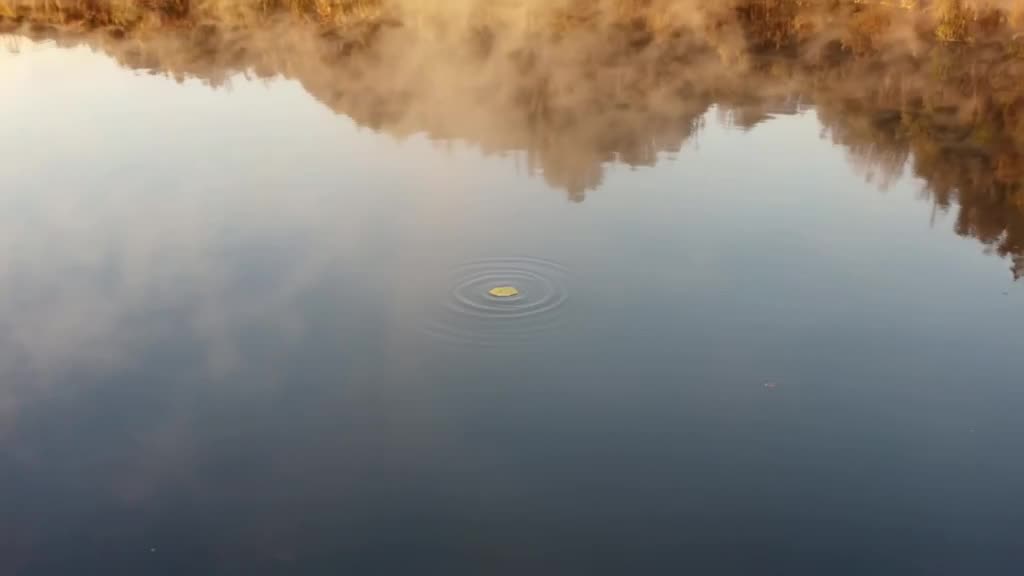 A steaming fjord water surface with a single leaf floating. Ripples expand outward in per…