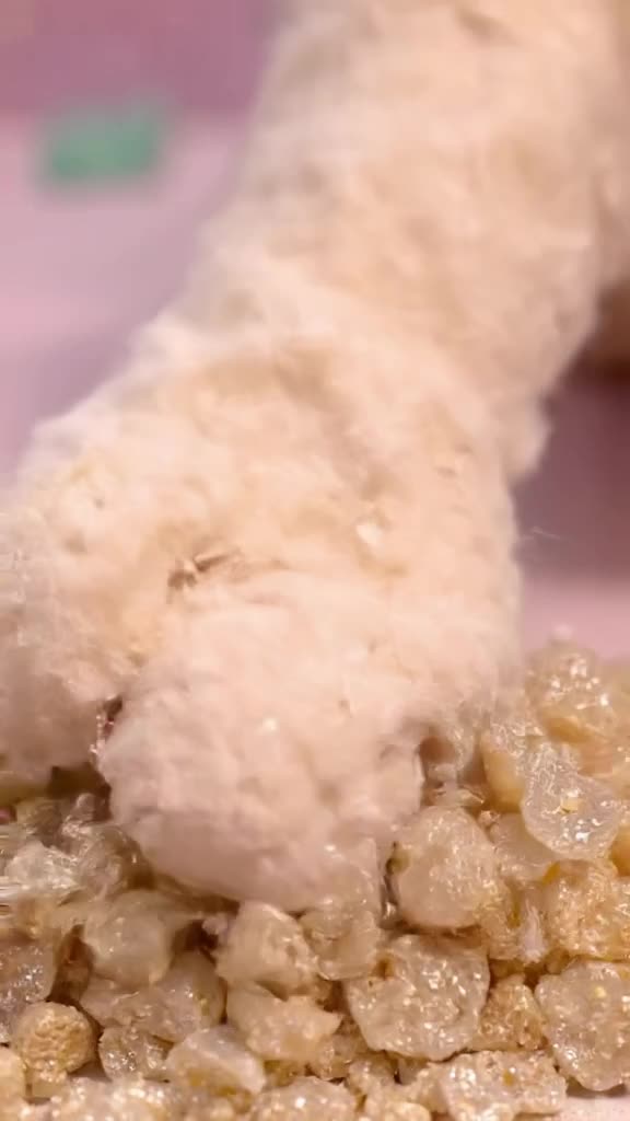 A close-up of a cat’s paw (no real cat, just a fluffy, stylized plush paw) pressing into …