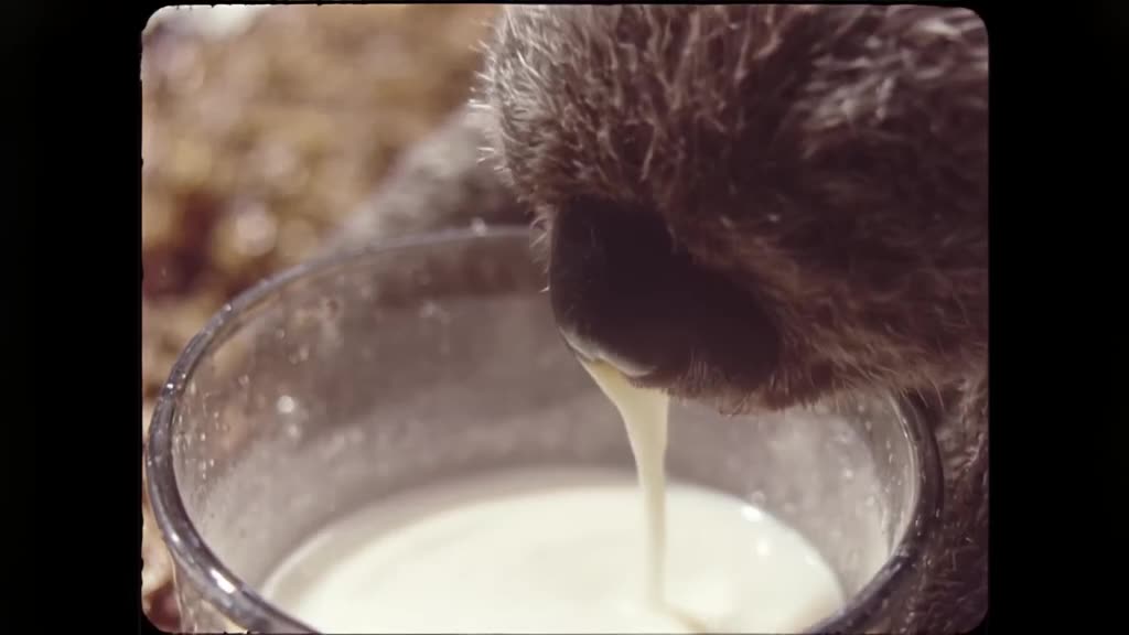 A sloth in slow motion pours milk into coffee, but the stream freezes mid-air. Studio lig…
