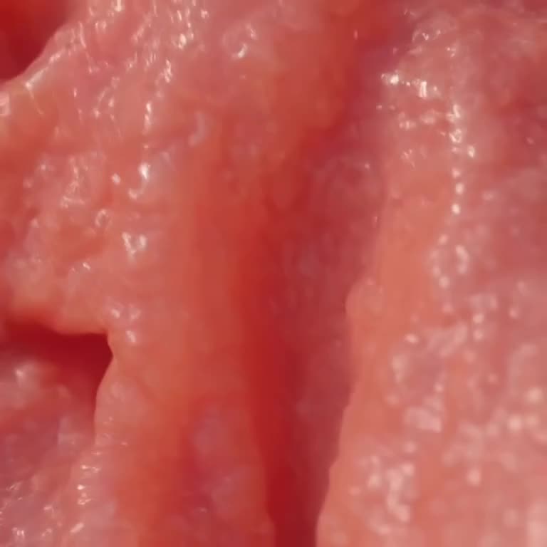 POV: A macrophage engulfing debris. It stretches its membrane like taffy with a wet 'squi…