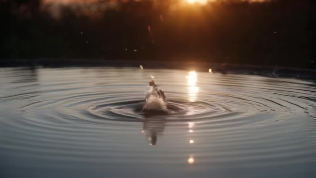 Raindrops hit a still pool of water, creating perfect concentric ripples that merge seaml…