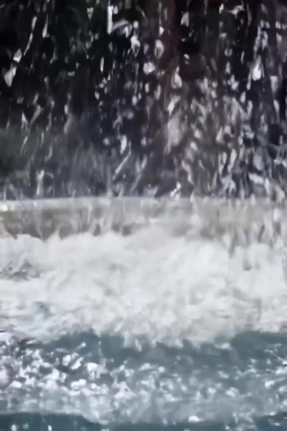 A grandma in a pearl necklace dives into a fountain that sprays sparkling dust instead of…