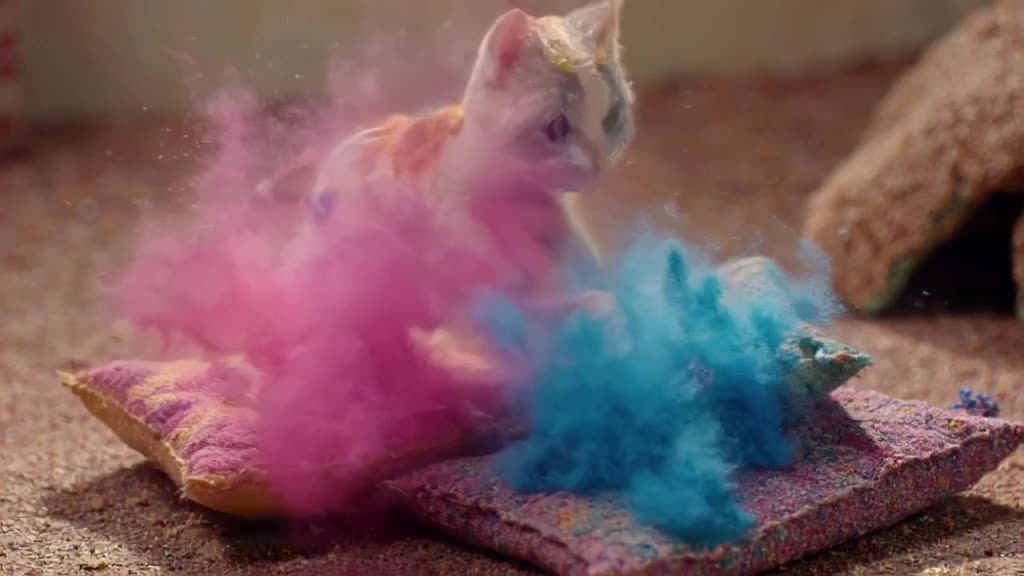 A tiny calico kitten jumps onto a stack of colorful fabric pillows. Each impact releases …