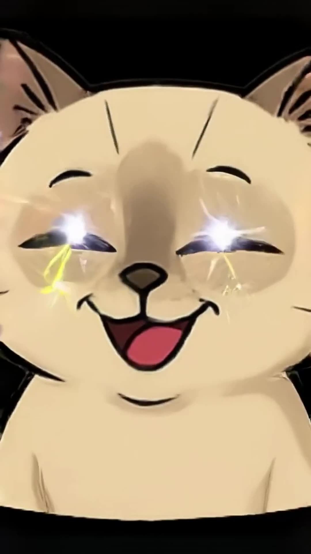 this cat is dancing