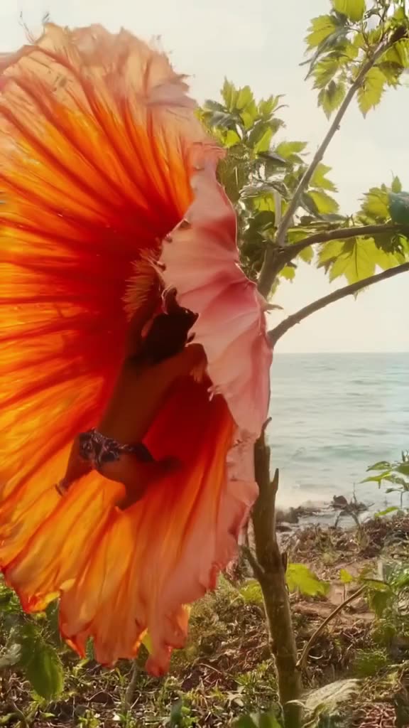 A tiny person swings on a giant hibiscus flower petal like a swing. The fabric of the pet…