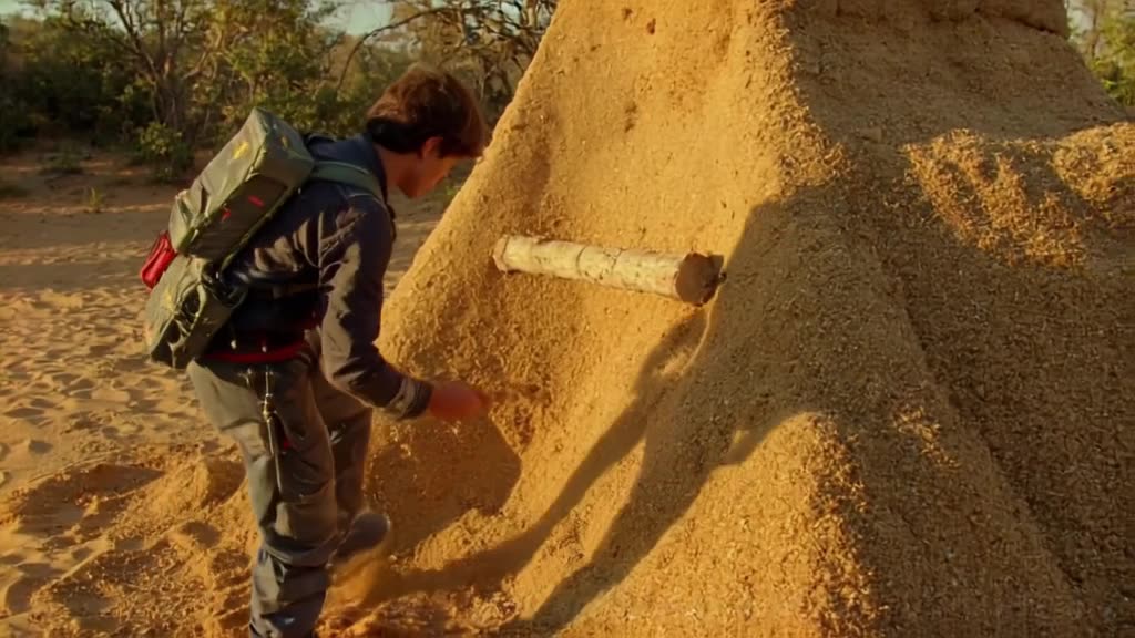 A tiny explorer maps a giant sandcastle wall with a pencil that looks like a log. The san…