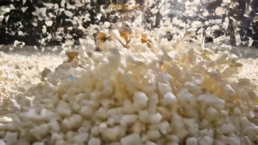 A bulldozer pushes a wall of fluffy white popcorn kernels that explode into the air with …
