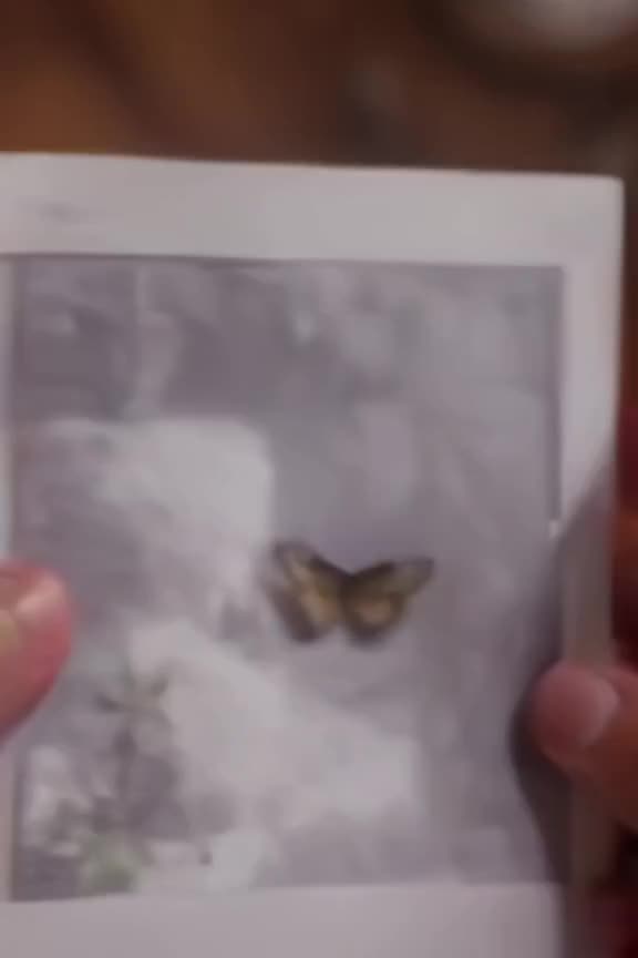 Close-up of a vintage Polaroid camera taking a picture of a blooming flower. The photo sl…