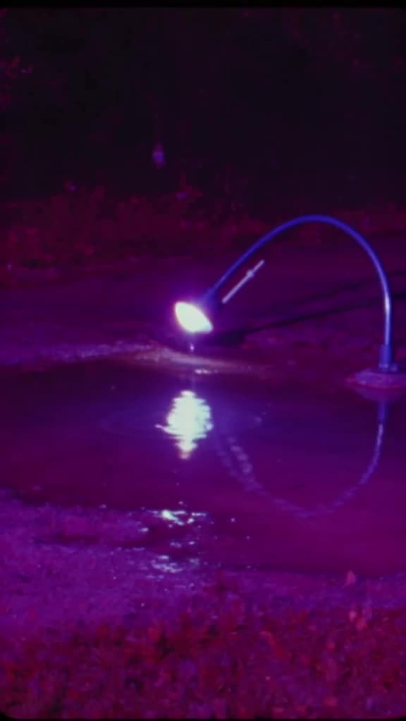 A street lamp bends down like a neck to kiss a puddle, creating a ripple of neon colors. …