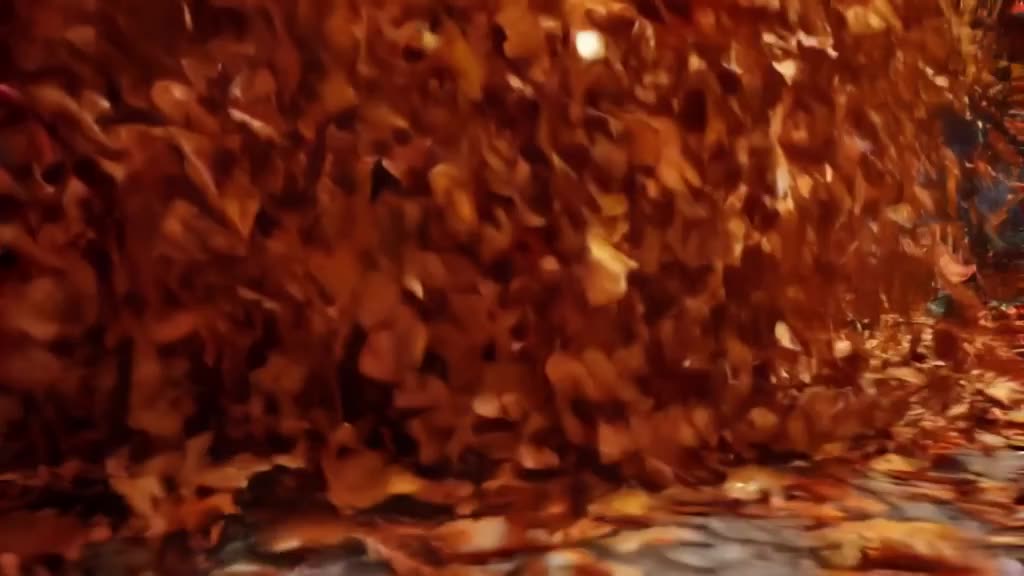A pile of autumn leaves swirls in a vortex, condensing into the shape of a grand, golden …