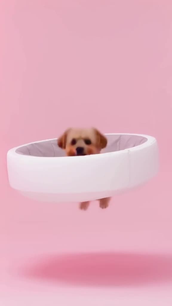 Product shot style. A sleek white dog bed floats in a void with soft pink lighting. A sma…