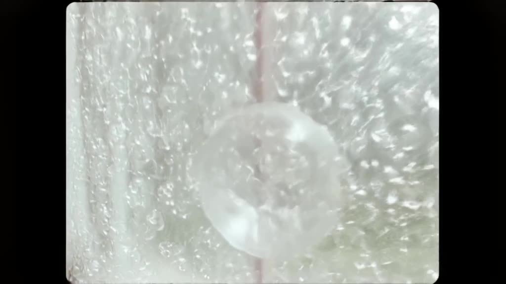 A bubble wrap sheet is pressed against a window, with each pop synchronized to a catchy p…