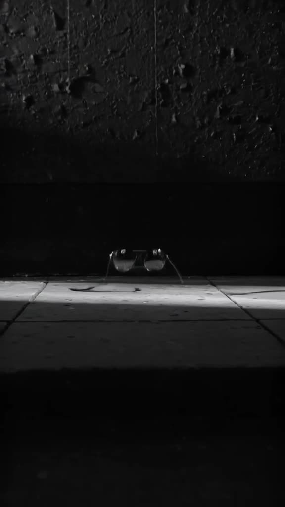 A pair of sunglasses lowers itself onto a sidewalk, peering up at the rain with curiosity…