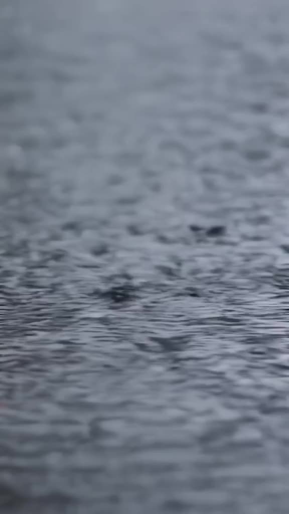 A hoodie’s drawstrings pull tight, causing the fabric to ripple like water in a pond. Rai…