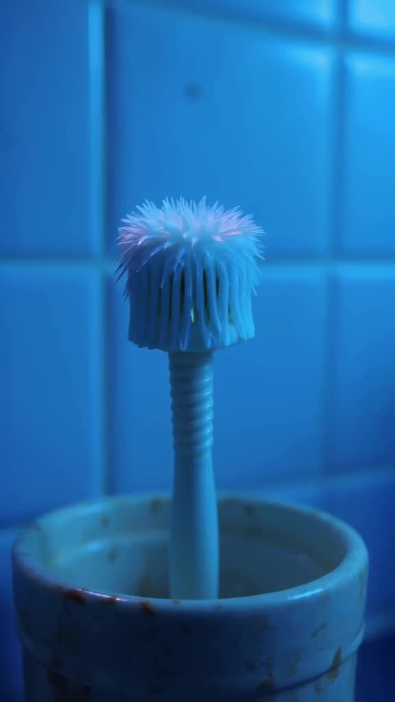 A toothbrush stands in a cup, stretching its bristles like cat legs with a soft 'mew'. Ba…