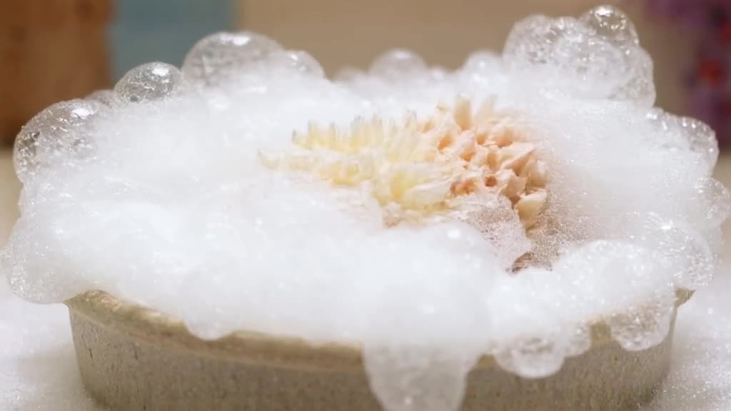 A baby hedgehog rolls into a bowl of hair spray foam. It emerges coated in white bubbles,…