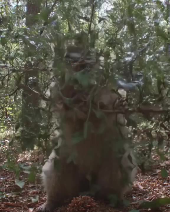 A raccoon wearing a tiny visor swings a bat made of twigs at a rolling pinecone. Leaves s…